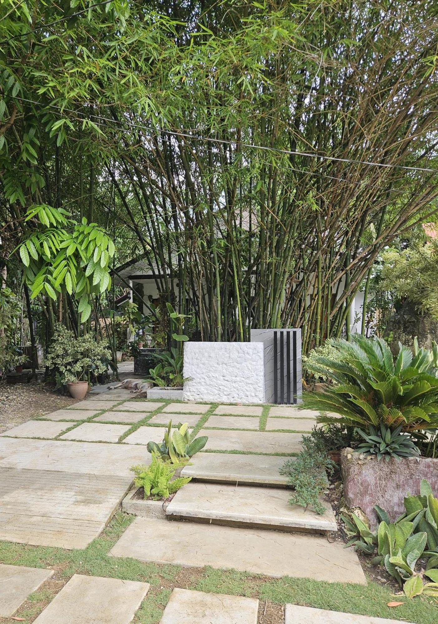 Weyh'S Studio #1 By The Ocean 100Mbps Panglao Exterior photo