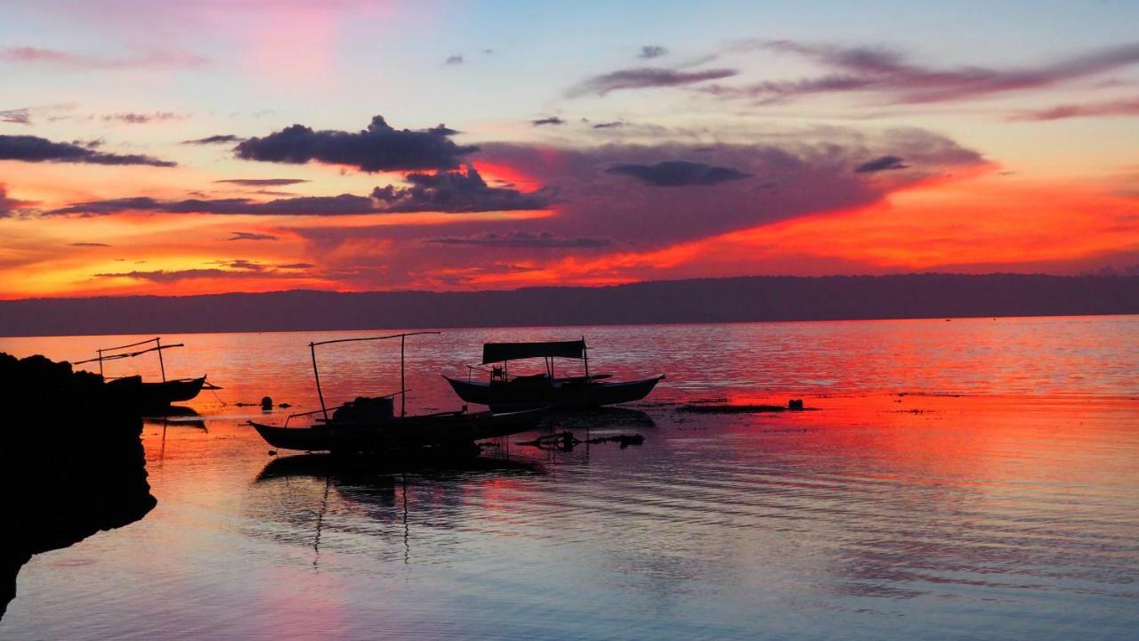Weyh'S Studio #1 By The Ocean 100Mbps Panglao Exterior photo